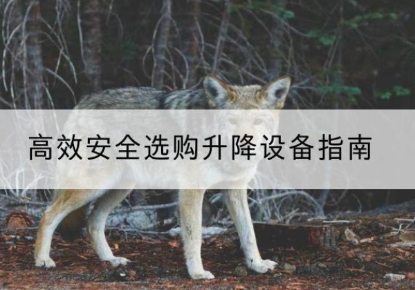 海城升降货梯厂家推荐-*安全选购升降设备指南