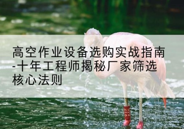 海城剪叉式升降机厂家-高空作业设备选购实战指南-十年工程师揭秘厂家筛选核心法则